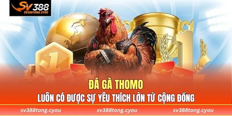 Đá Gà Thomo SV388 Đỉnh Cao - Trải Nghiệm Cá Cược Đẳng Cấp 